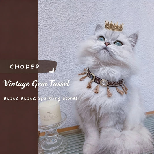 Vintage Gem Tassel Pet Choker Collar | Decorative Only for Cats & Small Dogs