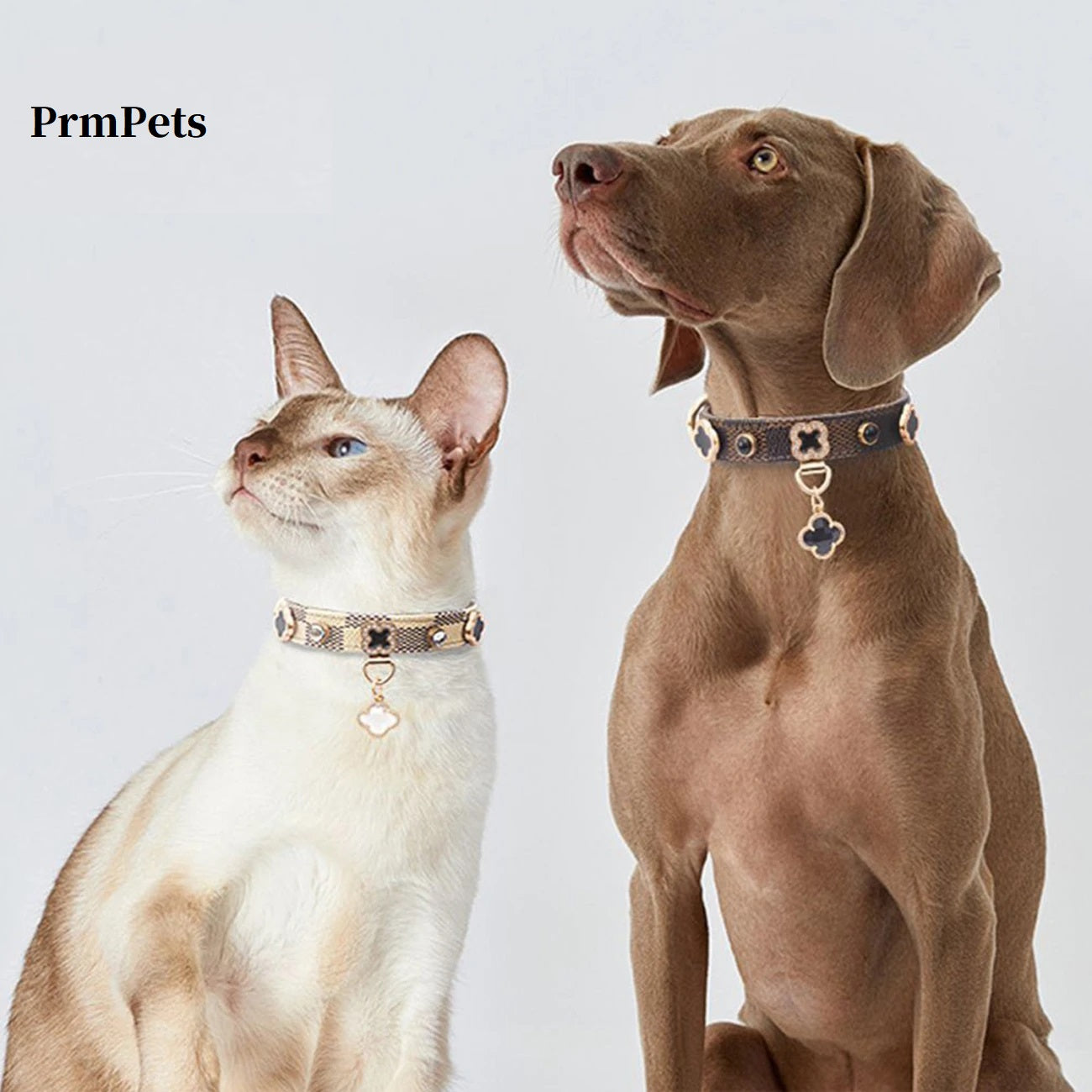 Luxury Checkered Clover Rhinestone Pet Collar & Matching Leash Set for Cats & Small Dogs