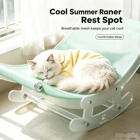 Transparent Acrylic Cat Rocking Chair—an ergonomic lounge chair with a soft cushion, perfect for relaxing at home