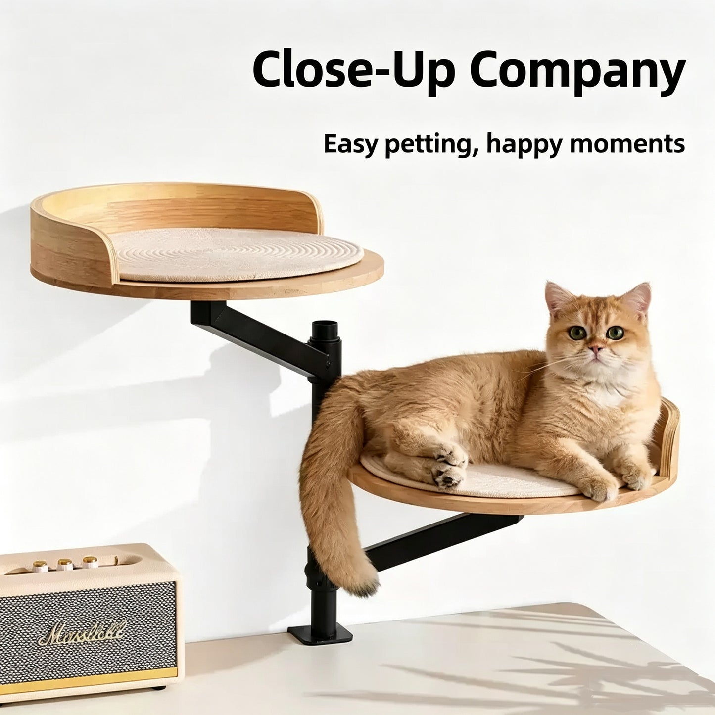Clamp-On Elevated Oak Cat Perch, 2-Tier Table Side Cat Bed with Adjustable Metal Frame, No Drill Window Cat Platform for Indoor Cats