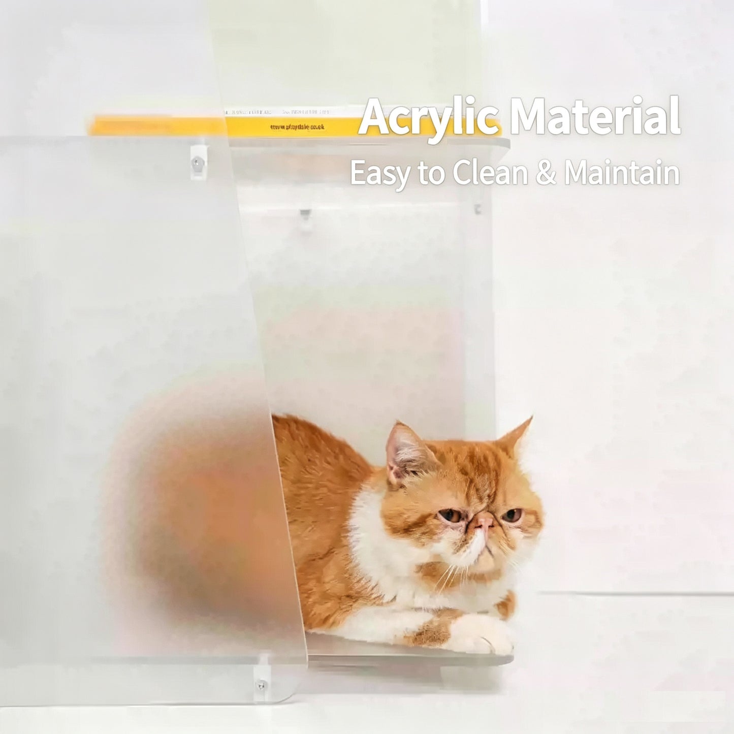 2-in-1 Frosted Acrylic Cat Bed Side Table, Modern Multi-Layer Cat Cave End Table, Human & Pet Shared Minimalist Pet Furniture for Living Room Bedroom
