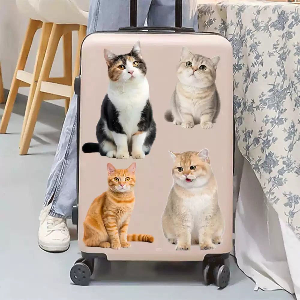Custom UV Transfer Luggage Stickers | Personalized Pet Photo Waterproof Decals